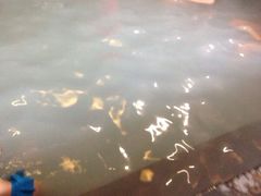 picture-南京汤山紫清湖生态旅游温泉度假区