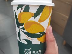 -鲜之醇(九州昌硕广场店)