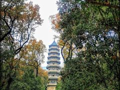 -灵谷景区
