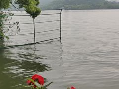 -柳莺湖上·湖景餐厅·江南菜(西湖店)