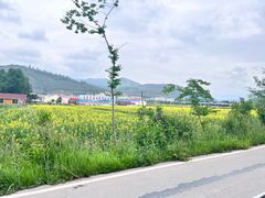 -鹞子沟国家森林公园