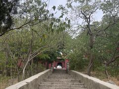 -涂山风景区