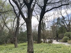 -迎泽公园