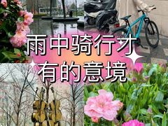 -自然博物馆(地铁站)