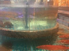 -百富源·海鲜辽菜(张士店)
