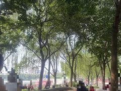 -莲花池公园