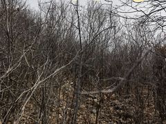 -白河堡水库