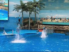 -海合安成都极地海洋公园