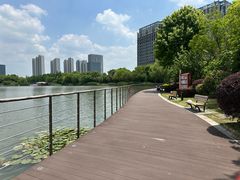 -南翔镇银翔湖公园