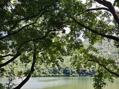 -广州市石门国家森林公园