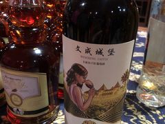 -文成城堡