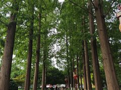 -郑和公园