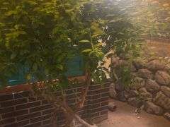 -小江南(万福园店)