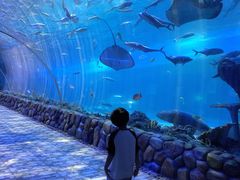 -华夏文旅海洋公园