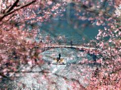 -东湖磨山景区