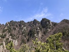 -王顺山国家森林公园
