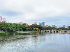 -荔湾湖公园