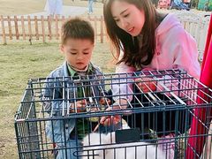 -季高兔窝窝亲子园(上海薰衣草公园店)