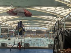 -江湾体育中心游泳馆