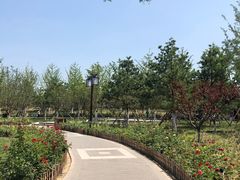 -西海子公园