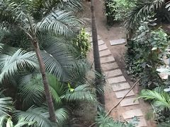 -黑龙江中医药大学附属第一医院