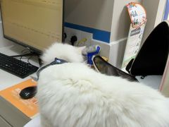 -恒幸动物医院·急重症转诊中心·神经内外科·CT核磁