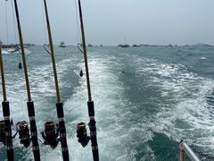 -小猫钓鱼海钓俱乐部(椰梦长廊店)