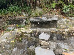 -板樟山森林公园