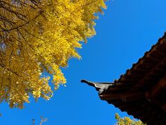 -郑和公园