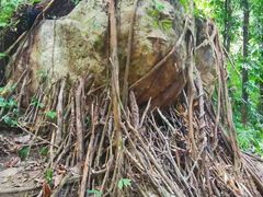 -孔雀湖生态旅游区