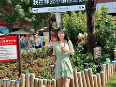 -中粮·祥云小镇