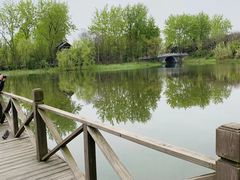 -溱湖国家湿地公园