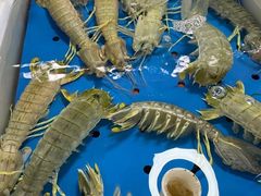 -南沙十九涌渔人码头-南门