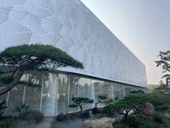 -罗红摄影艺术馆