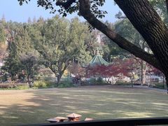 -申粤轩酒楼·三十年粤菜经典(丁香花园店)