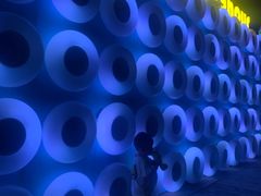 -芜湖新华联大白鲸海洋公园