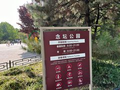 -大兴滨河森林公园