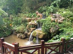 -广州锦绣香江度假别墅