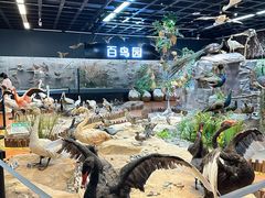 -昆明动物博物馆