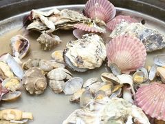 -农家乐大锅台铁锅炖(四流中路店)