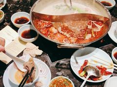-捞王猪肚鸡火锅(金华义乌之心店)