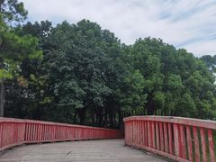 -美兰湖景区