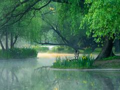 -上海共青森林公园