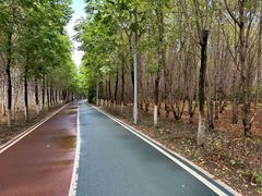 -绥化市森林植物园