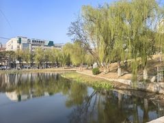 -咸阳湖景区-古渡公园