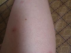 -成都凯宾斯基饭店