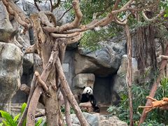 -香港海洋公园