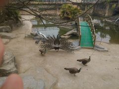-南昌动物园