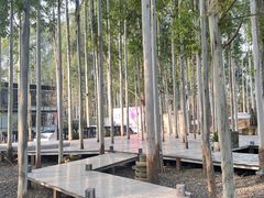 -桉树林A coffee 森林餐厅(三圣乡店)
