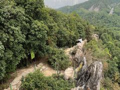 -南山植物园